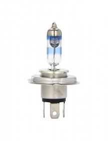 Tellus Eu Volutpat Varius